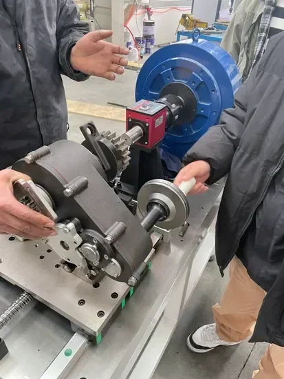 Transmitted Torque Test