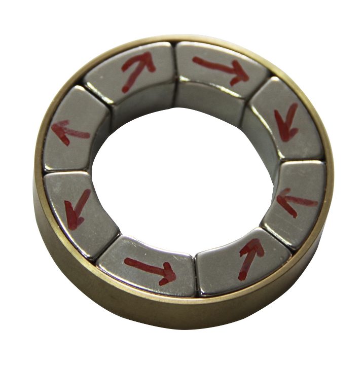 Halbach array with radial and axial magnetized rings