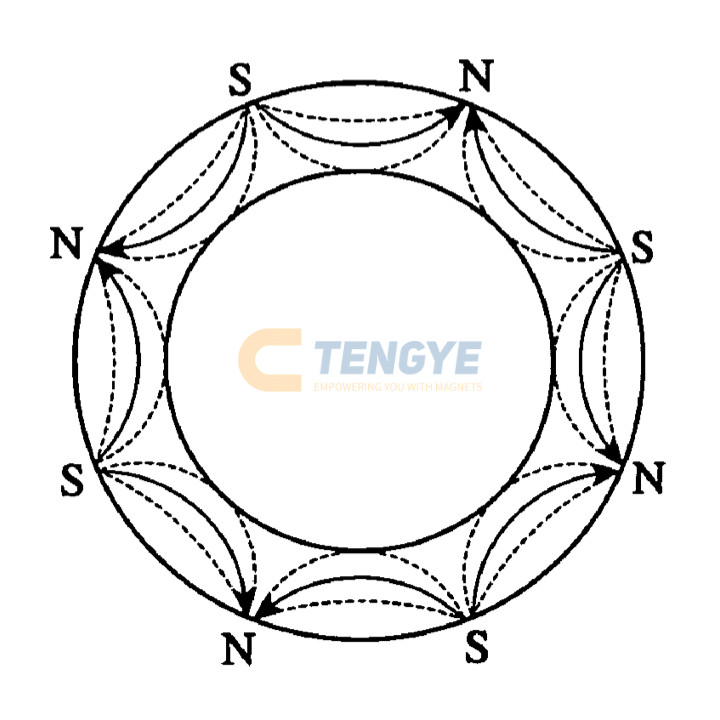 Polar anisotropic ring magnet