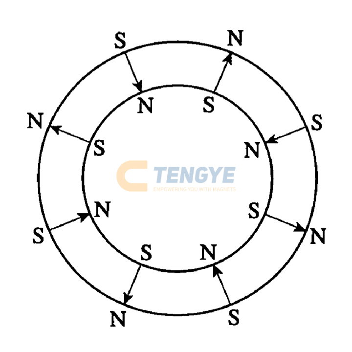 Radial anisotropic ring magnet comparison