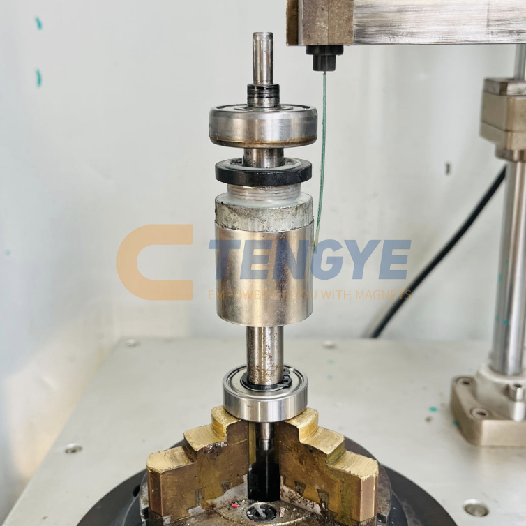 Multipole ring magnet rotor assembly