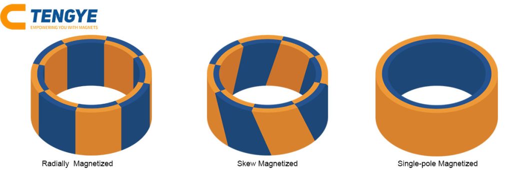 Motor with radial ring magnet