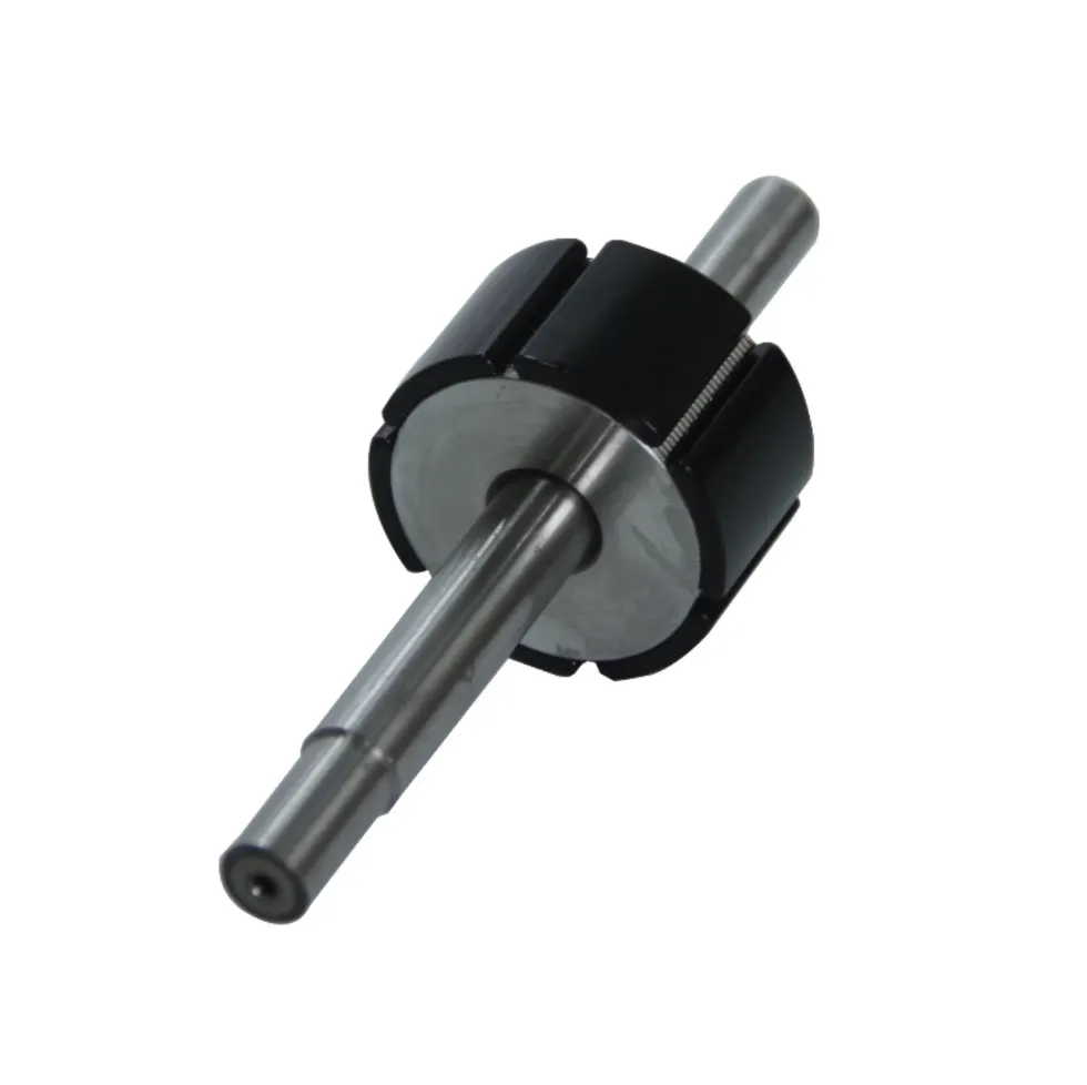 Shaft-mounted magnetic rotor